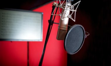 E-Öğrenmede Seslendirme Kullanmanın Püf Noktaları