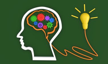 Eğitim ve Gelişim Uzmanlarının Bilmesi Gereken Öğrenme Psikolojisi İlkeleri