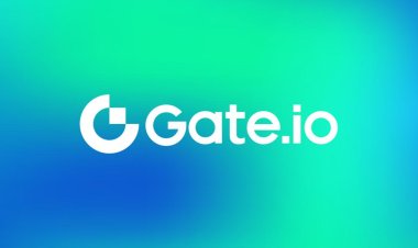 Gate.io, eğitim ve sosyal sorumluluk projelerine odaklanacak