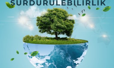 Sürdürülebilirlik Eğitiminin Temel Bileşenleri