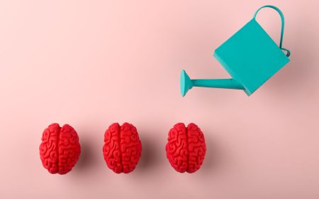 Basit ve Etkili Öğrenme Deneyimi Tasarımı Nasıl Oluşturulur?